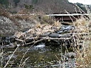 2007-04-08 011.JPG